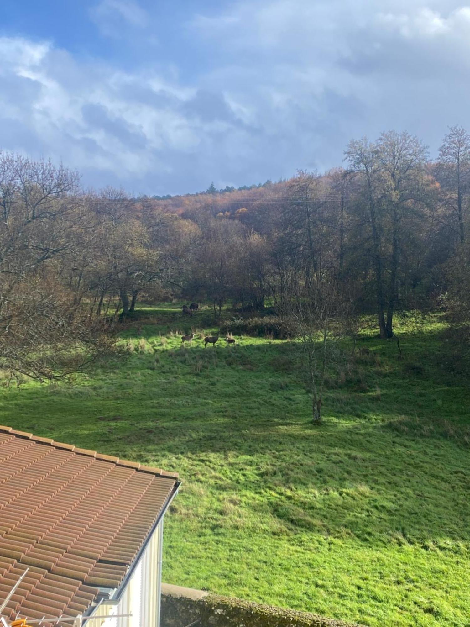 Appartamento Casa Del Bosque Béjar Esterno foto