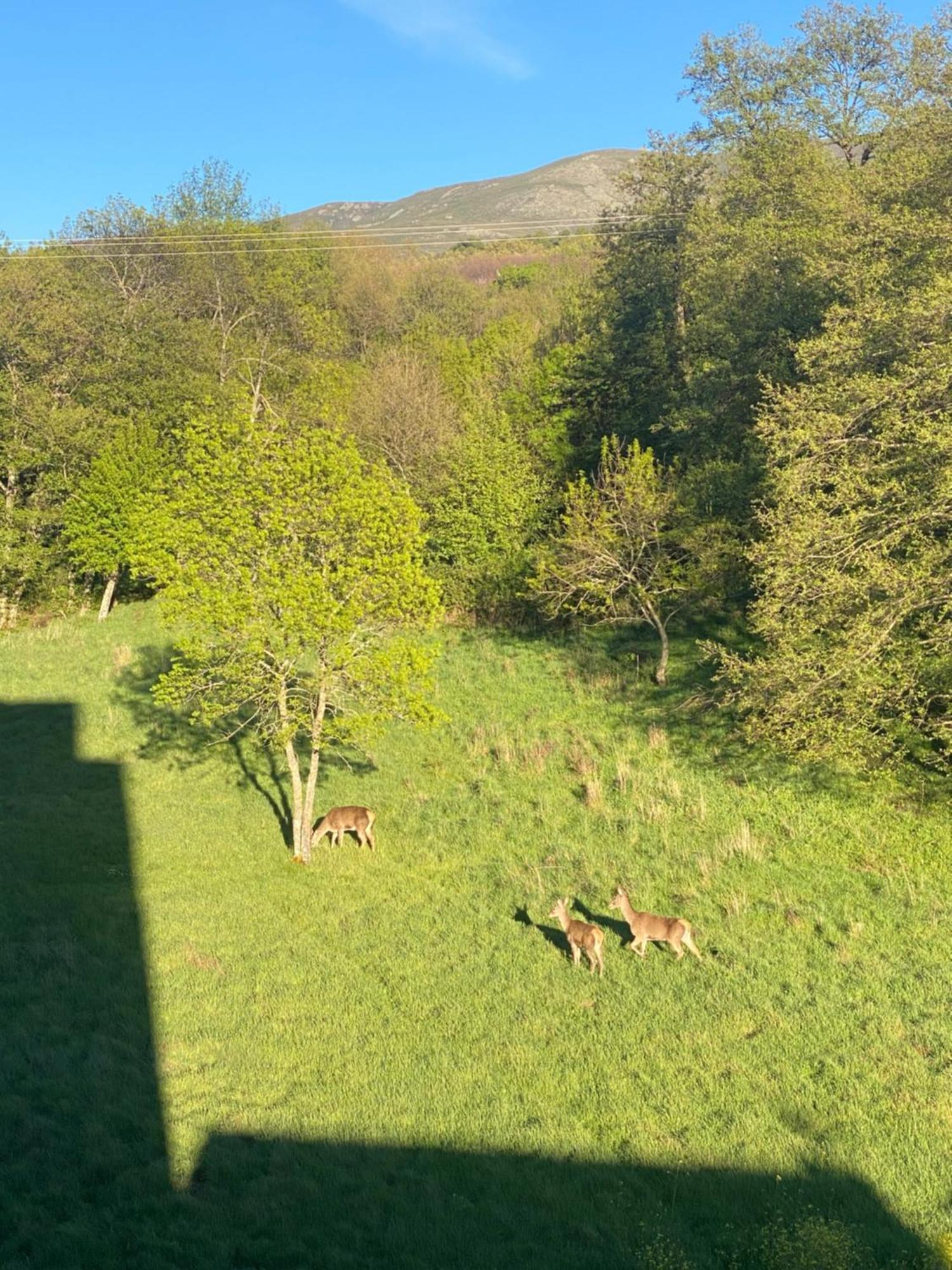 Appartamento Casa Del Bosque Béjar Esterno foto